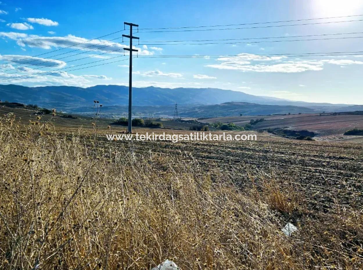 Asyaport Limanı Mevcut İmar Planı İçinde ( Ticari & Sanaii ) Alanı İçinde Anayol Cepheli 37.500 M2 Yatırım Fırsatı