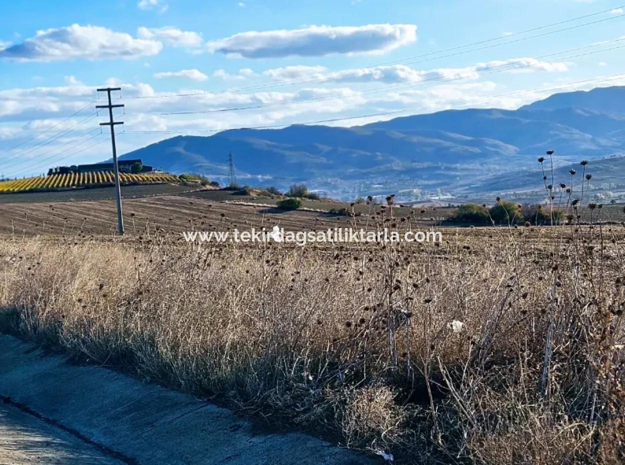 Asyaport Limanı Mevcut İmar Planı İçinde ( Ticari & Sanaii ) Alanı İçinde Anayol Cepheli 37.500 M2 Yatırım Fırsatı