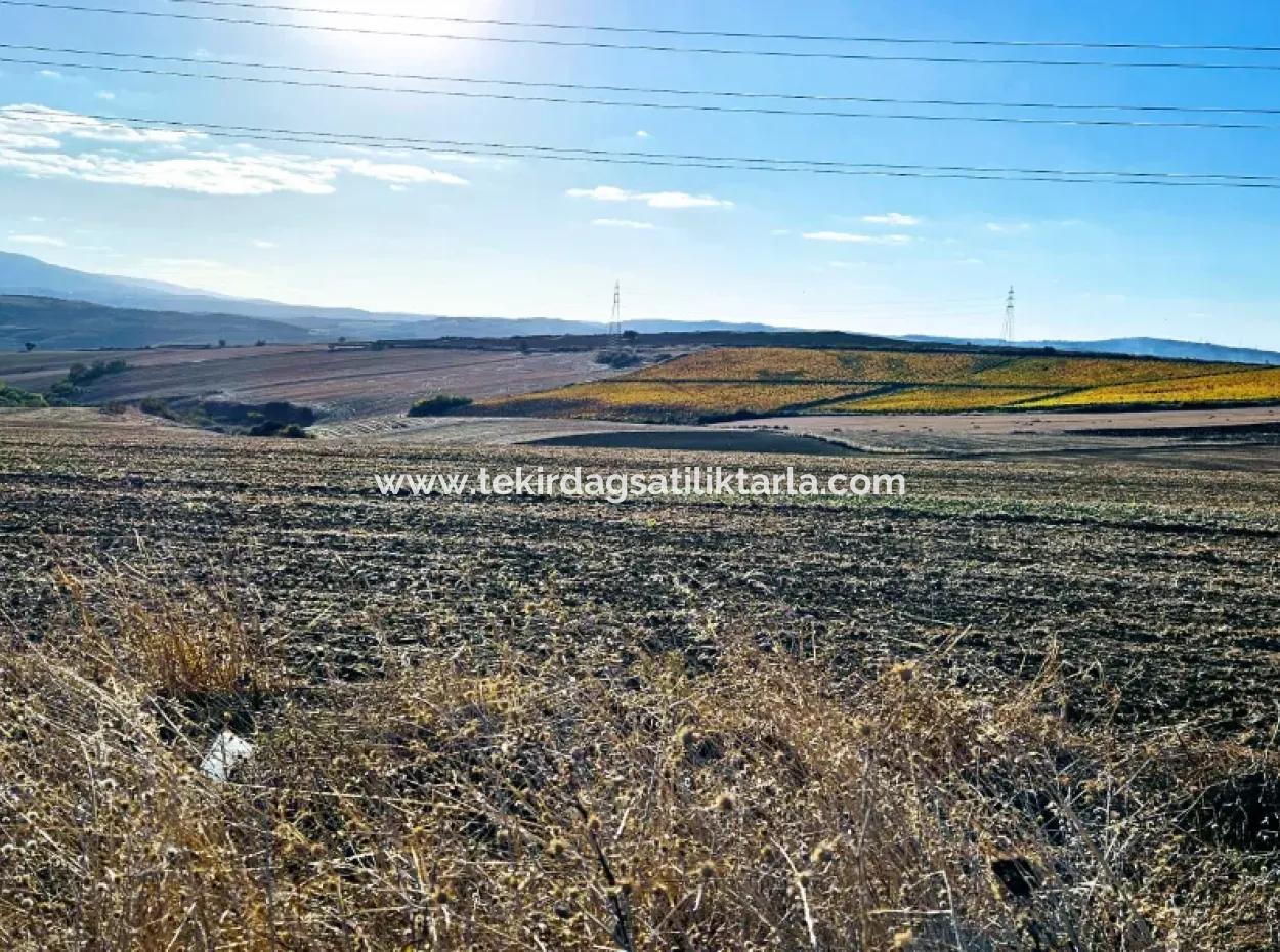 Asyaport Limanı Mevcut İmar Planı İçinde ( Ticari & Sanaii ) Alanı İçinde Anayol Cepheli 37.500 M2 Yatırım Fırsatı