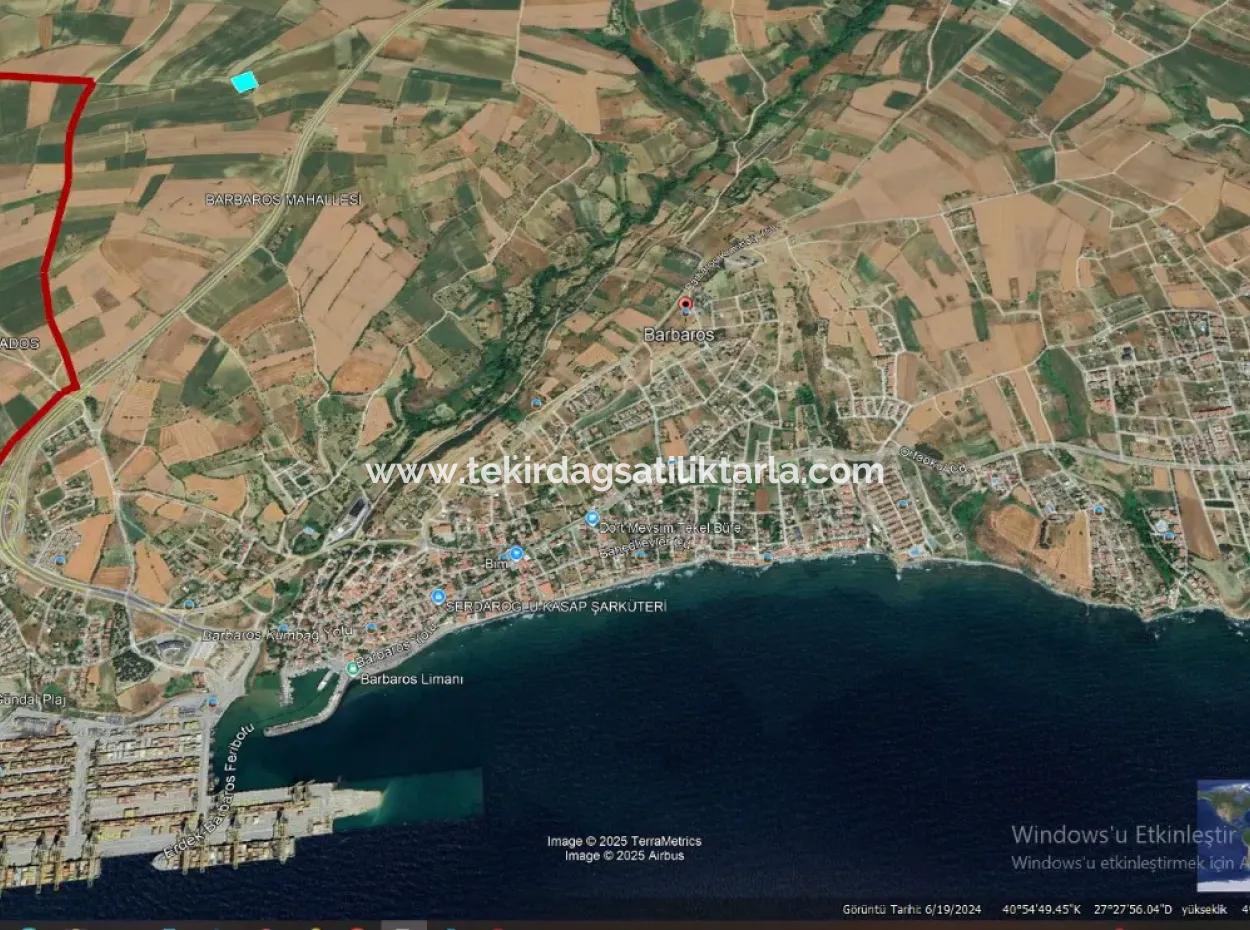 Asyaport Limanı Mevcut İmar Planı İçinde ( Ticari & Sanai ) Alanı Bölgedinde Acil Satılık 6.400 M2 Yatırım Fırsatı