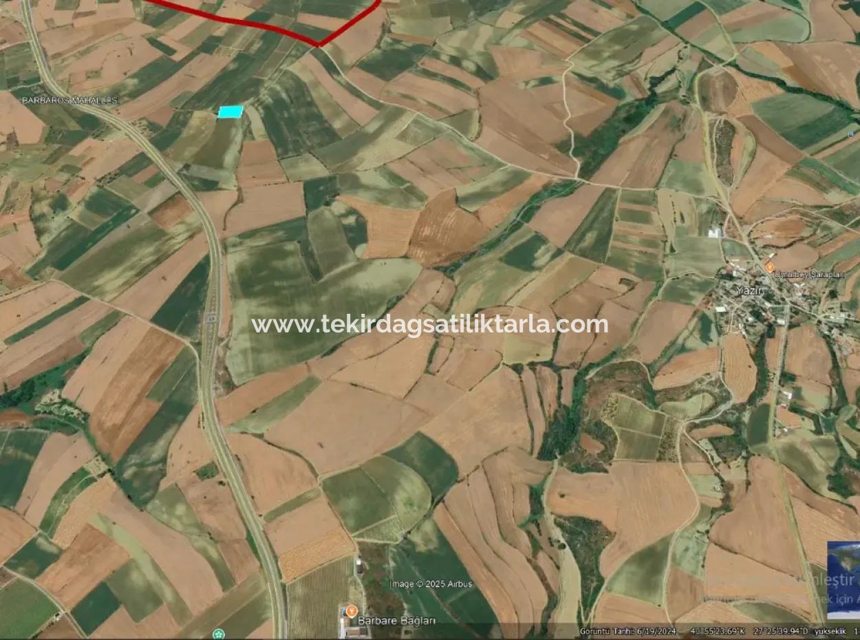 Asyaport Limanı Mevcut İmar Planı İçinde ( Ticari & Sanai ) Alanı Bölgedinde Acil Satılık 6.400 M2 Yatırım Fırsatı