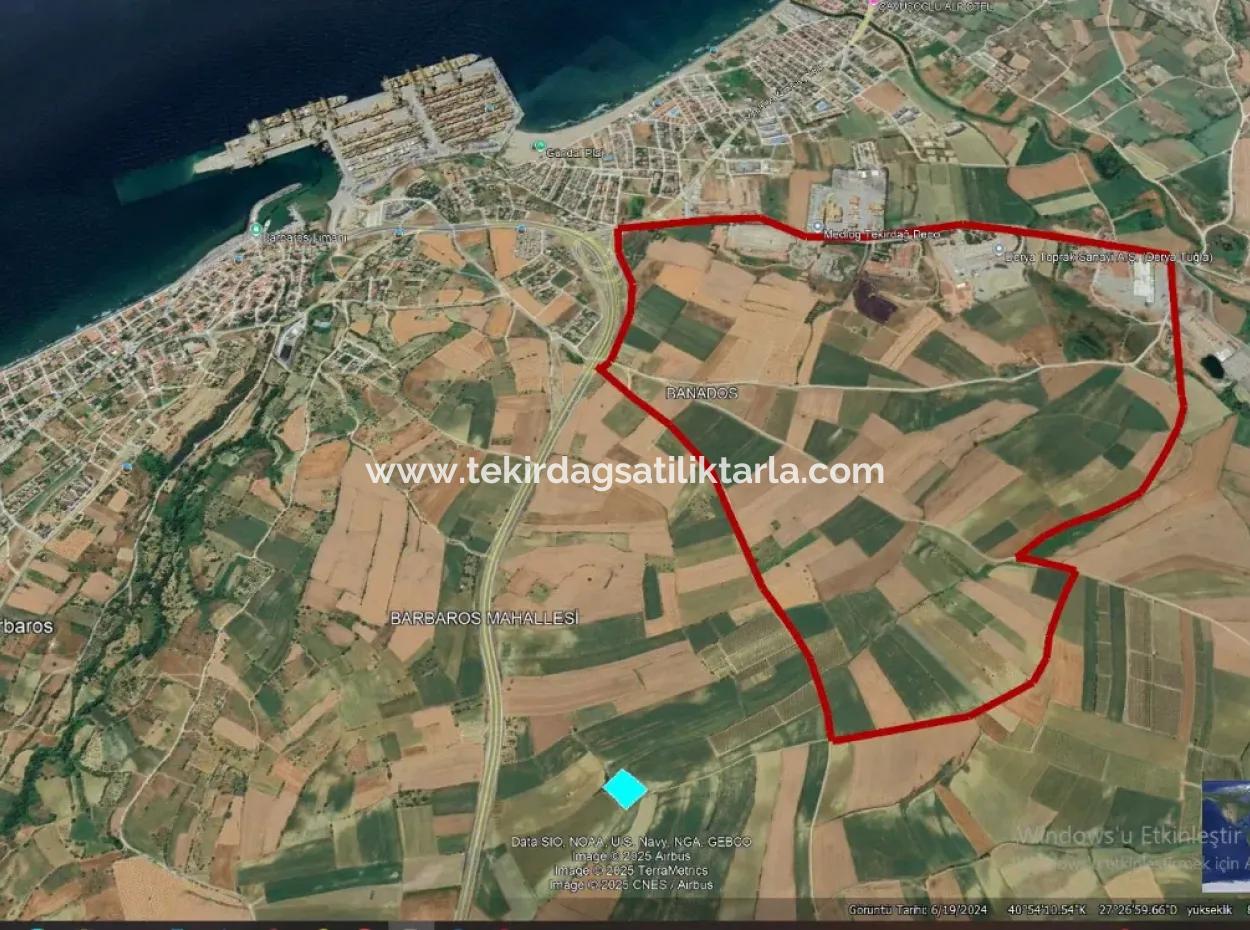 Asyaport Limanı Mevcut İmar Planı İçinde ( Ticari & Sanai ) Alanı Bölgedinde Acil Satılık 6.400 M2 Yatırım Fırsatı