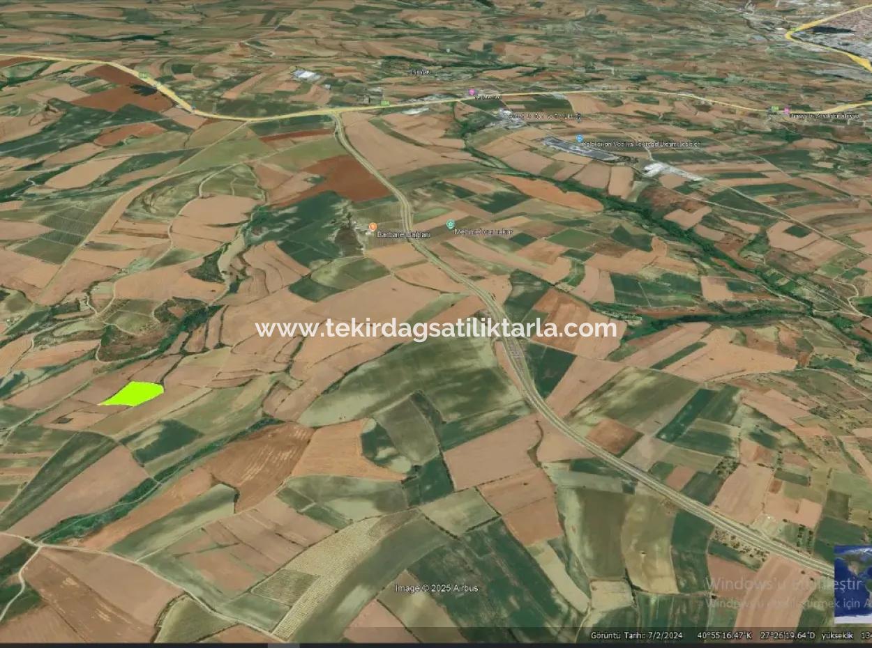 Asyaport Limanı Mevcut İmara Yakın 16.100 Acil Satılık Yatırımlık Kelepir Kupon Tarla