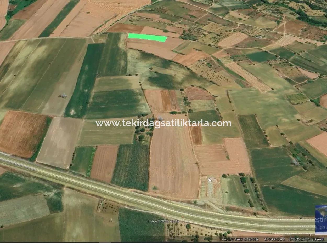 Asyaport Limanı Mevcut İmar Planı İçinde Yatırımcısına Yüksek Kazanç Garantisi Fırsat Arazi