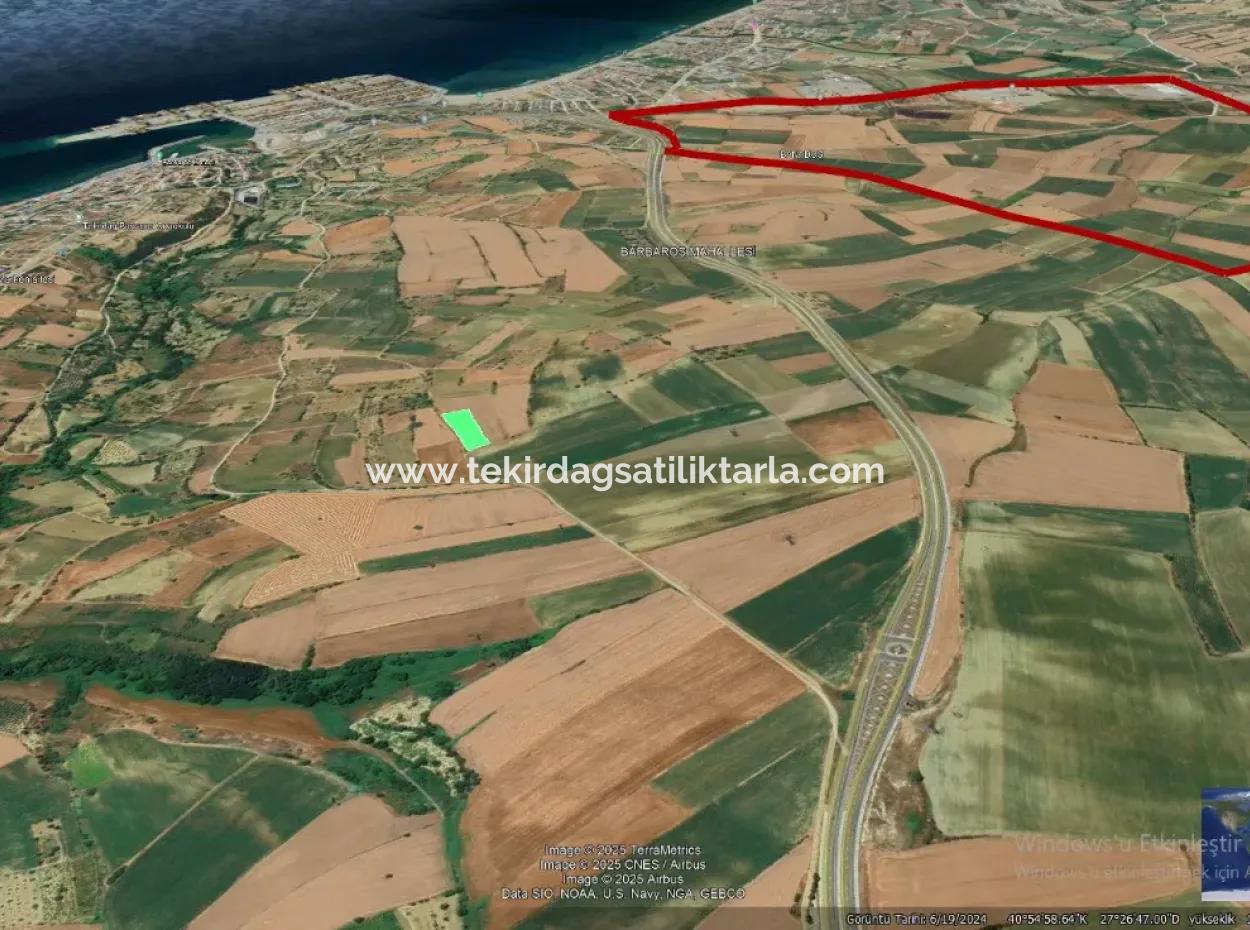 Asyaport Limanı Mevcut İmar Planı İçinde Yatırımcısına Yüksek Kazanç Garantisi Fırsat Arazi