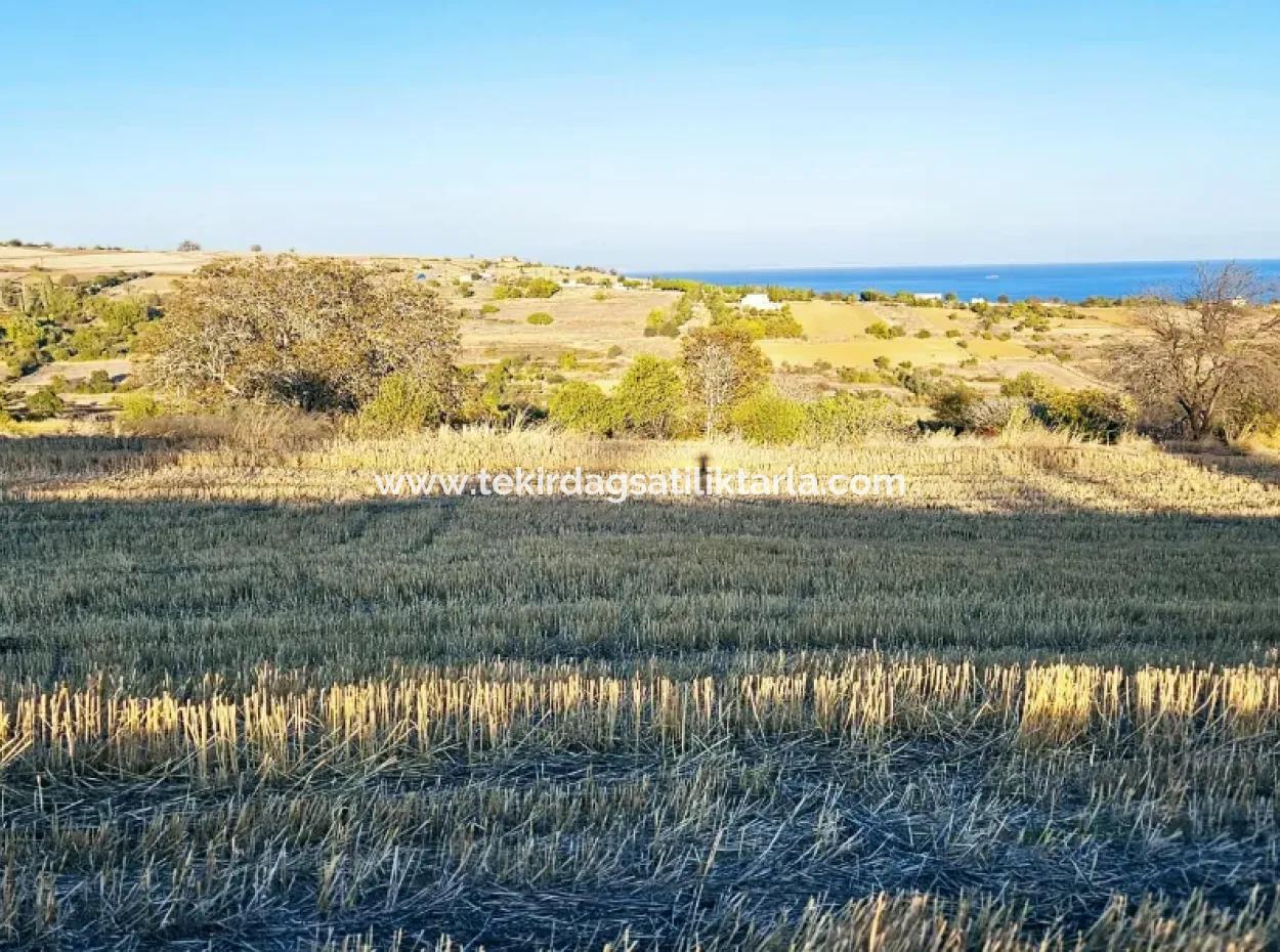 Asyaport Limanı Mevcut İmar Planı İçinde Yatırımcısına Yüksek Kazanç Garantisi Fırsat Arazi