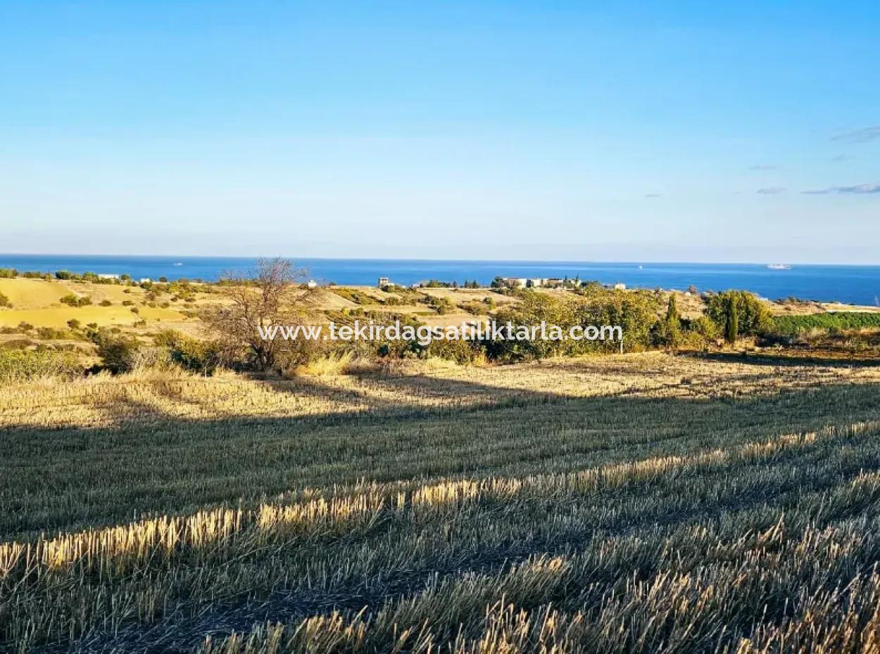 Asyaport Limanı Mevcut İmar Planı İçinde Yatırımcısına Yüksek Kazanç Garantisi Fırsat Arazi