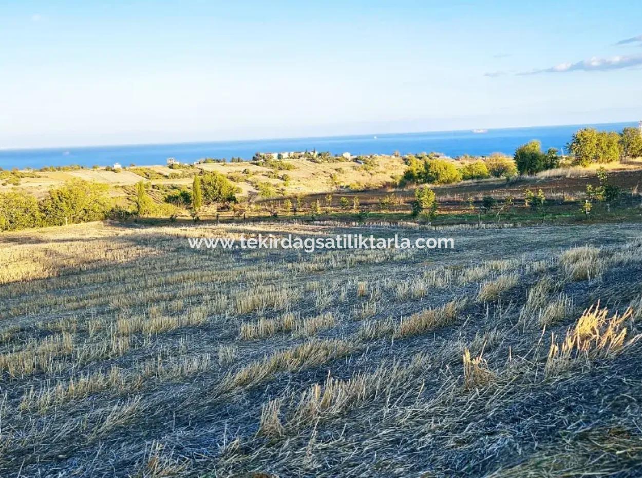 Asyaport Limanı Mevcut İmar Planı İçinde Yatırımcısına Yüksek Kazanç Garantisi Fırsat Arazi