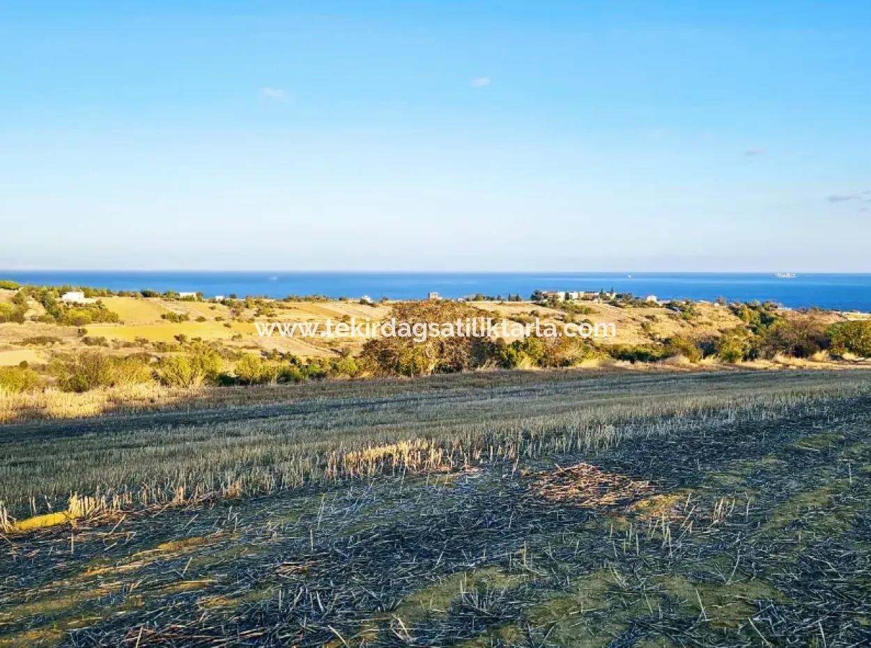 Asyaport Limanı Mevcut İmar Planı İçinde Yatırımcısına Yüksek Kazanç Garantisi Fırsat Arazi