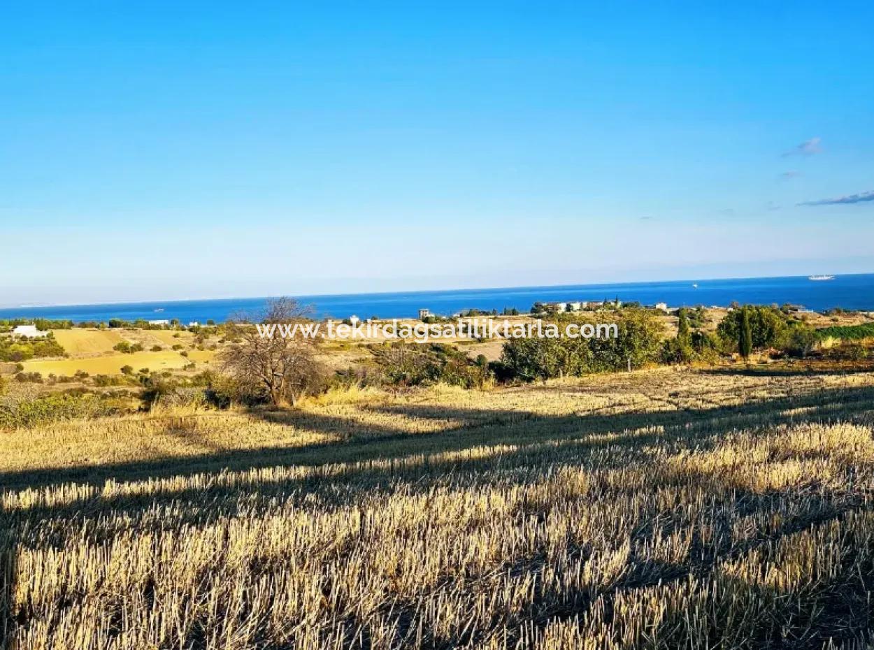 Asyaport Limanı Mevcut İmar Planı İçinde Yatırımcısına Yüksek Kazanç Garantisi Fırsat Arazi