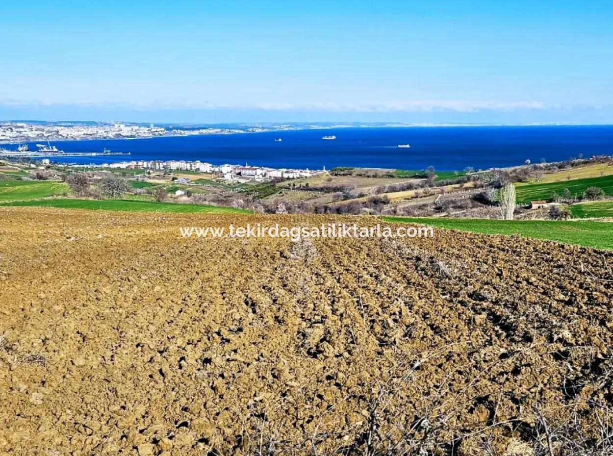 Tekirdağ Barbarosta Lüxs Villa Projeni Yap. Mütahitlere Kat Karşılığı Ver  Yüksek Kazanç Sağla Full Deniz Manzaralı Villa İmarlı Arazi