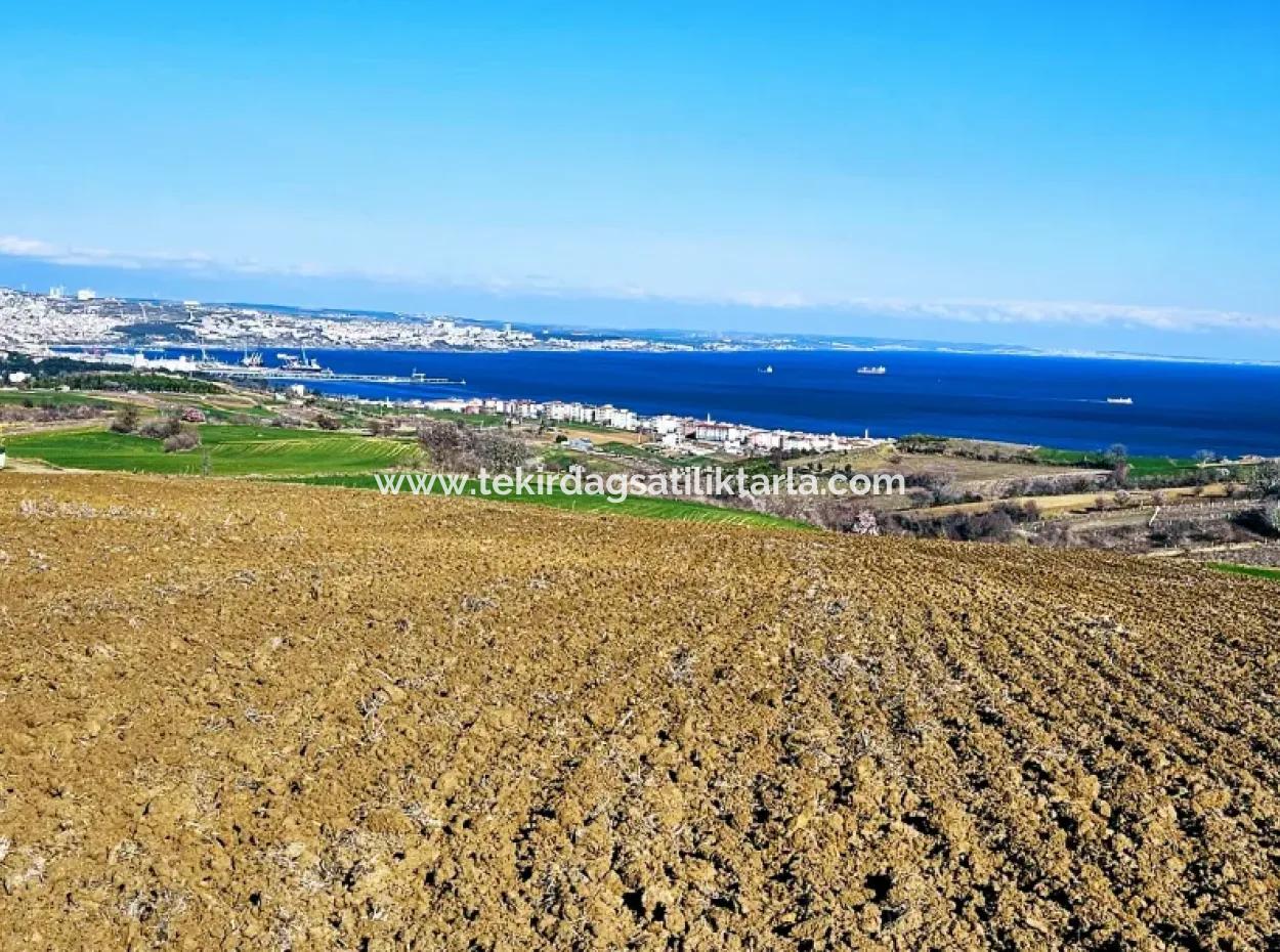 Tekirdağ Barbarosta Lüxs Villa Projeni Yap. Mütahitlere Kat Karşılığı Ver  Yüksek Kazanç Sağla Full Deniz Manzaralı Villa İmarlı Arazi
