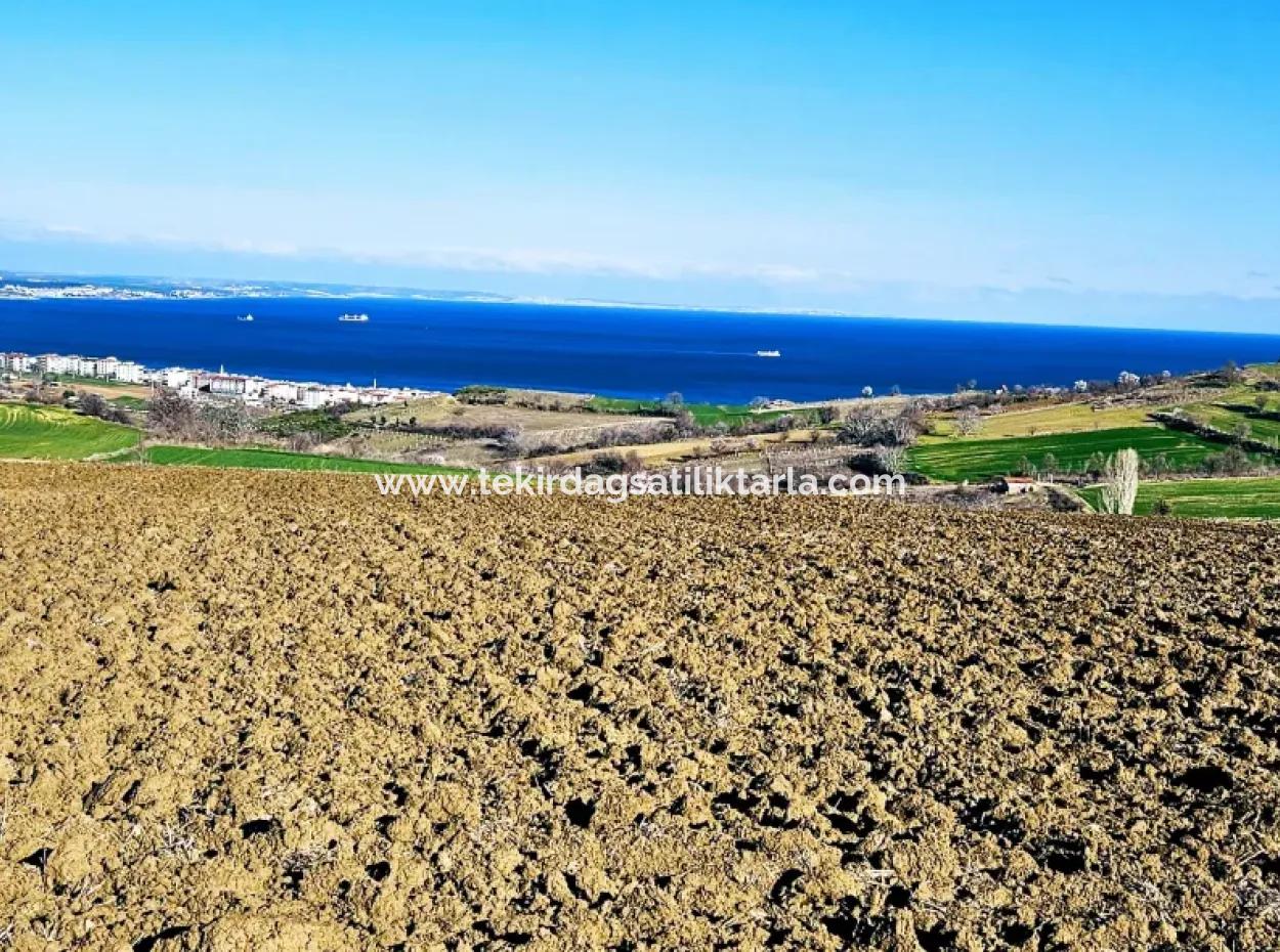 Tekirdağ Barbarosta Lüxs Villa Projeni Yap. Mütahitlere Kat Karşılığı Ver  Yüksek Kazanç Sağla Full Deniz Manzaralı Villa İmarlı Arazi