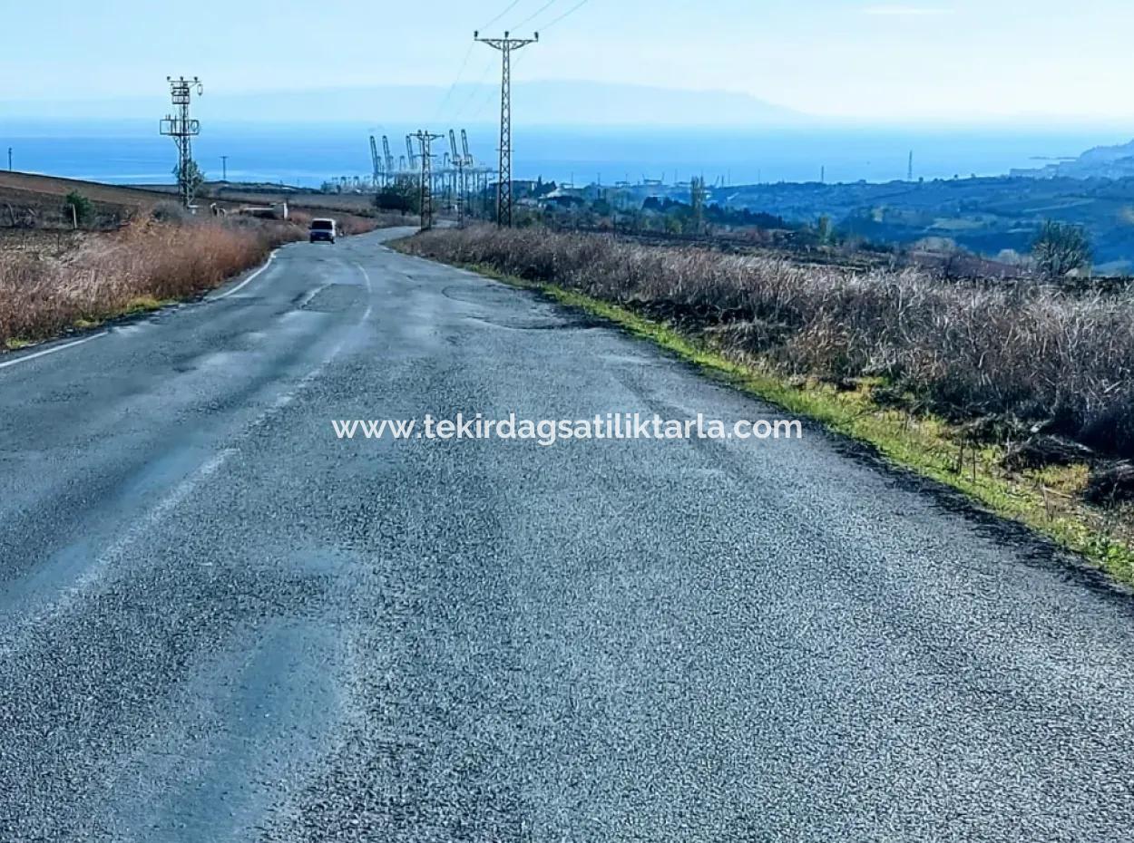 Acil Satılık Fabrikalar Bölgesinde 5.400 M2 Yüksek Kazanç Garantisi Fırsat Yer