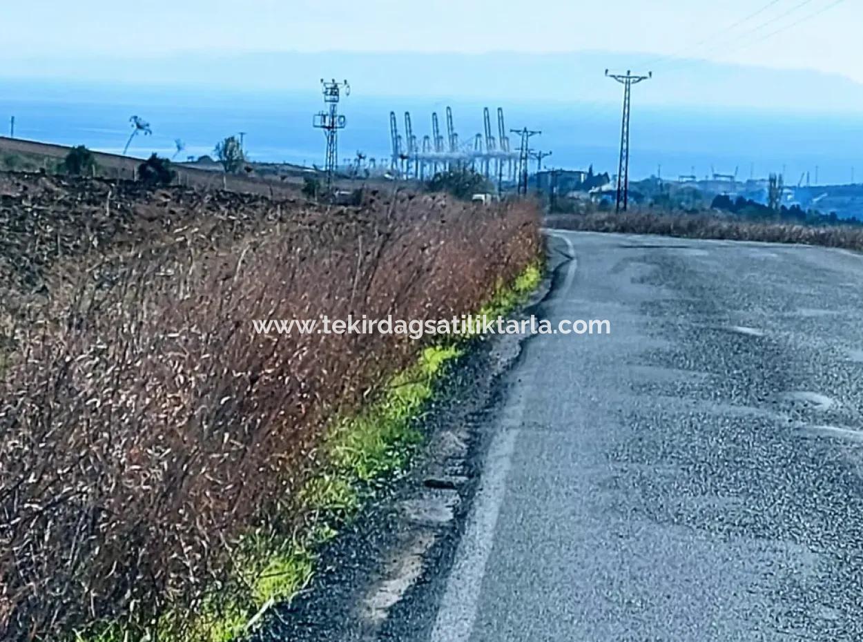 Acil Satılık Fabrikalar Bölgesinde 5.400 M2 Yüksek Kazanç Garantisi Fırsat Yer