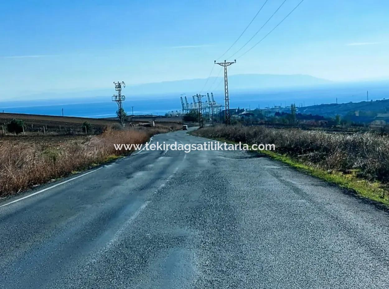 Acil Satılık Fabrikalar Bölgesinde 5.400 M2 Yüksek Kazanç Garantisi Fırsat Yer