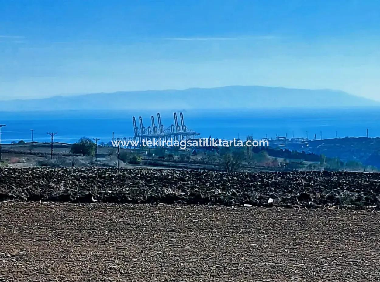 Acil Satılık Fabrikalar Bölgesinde 5.400 M2 Yüksek Kazanç Garantisi Fırsat Yer