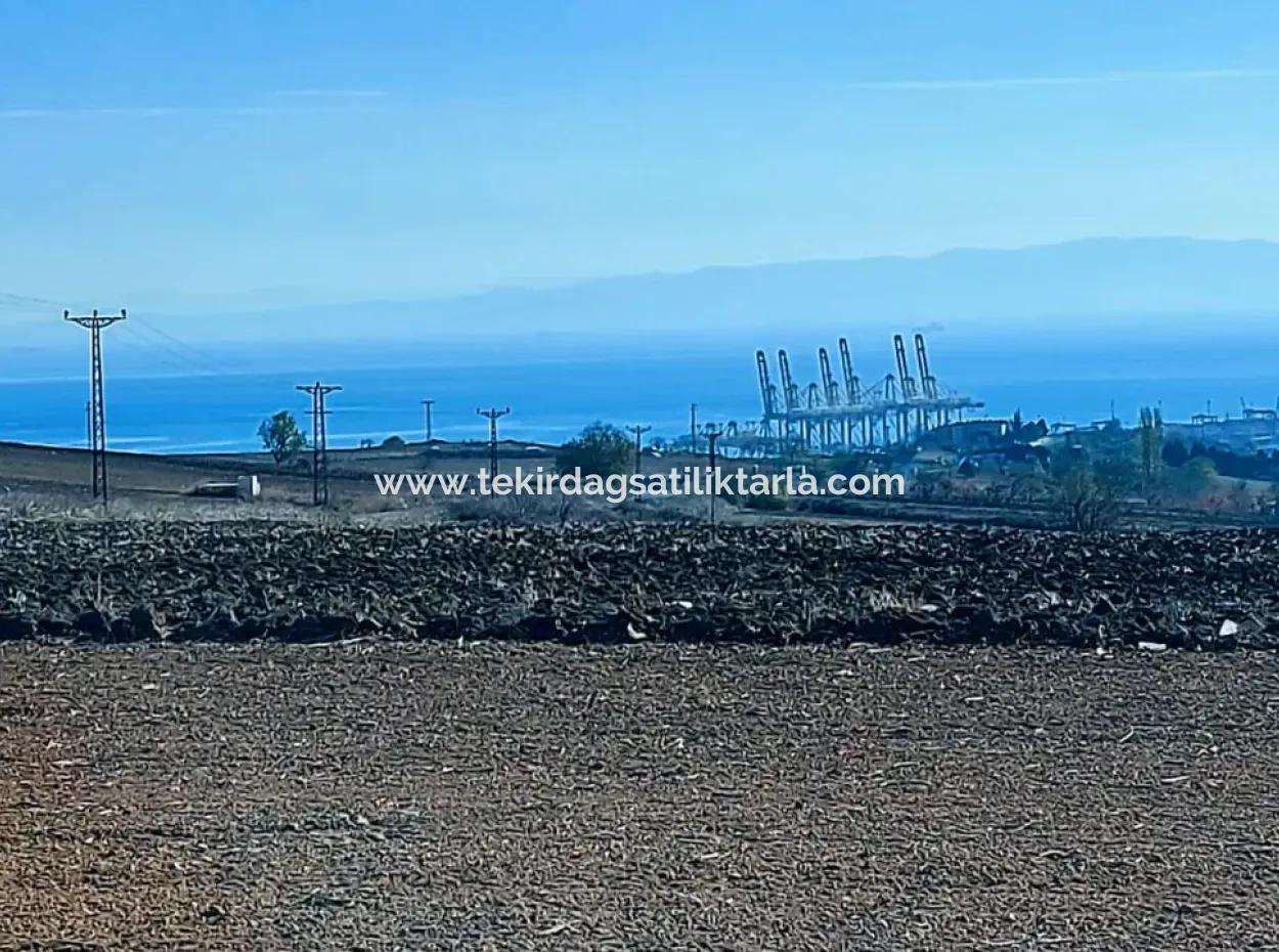 Acil Satılık Fabrikalar Bölgesinde 5.400 M2 Yüksek Kazanç Garantisi Fırsat Yer