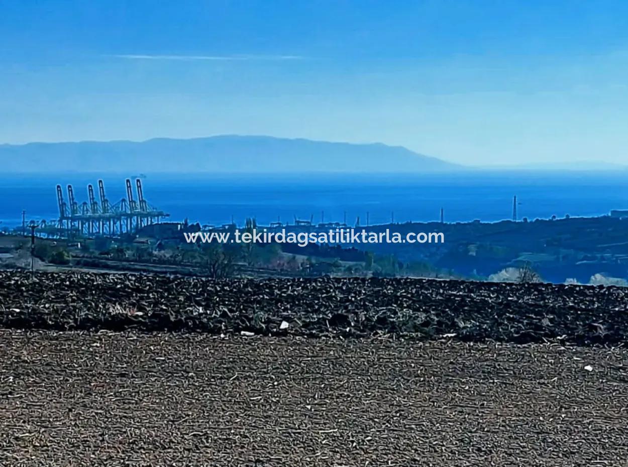 Acil Satılık Fabrikalar Bölgesinde 5.400 M2 Yüksek Kazanç Garantisi Fırsat Yer