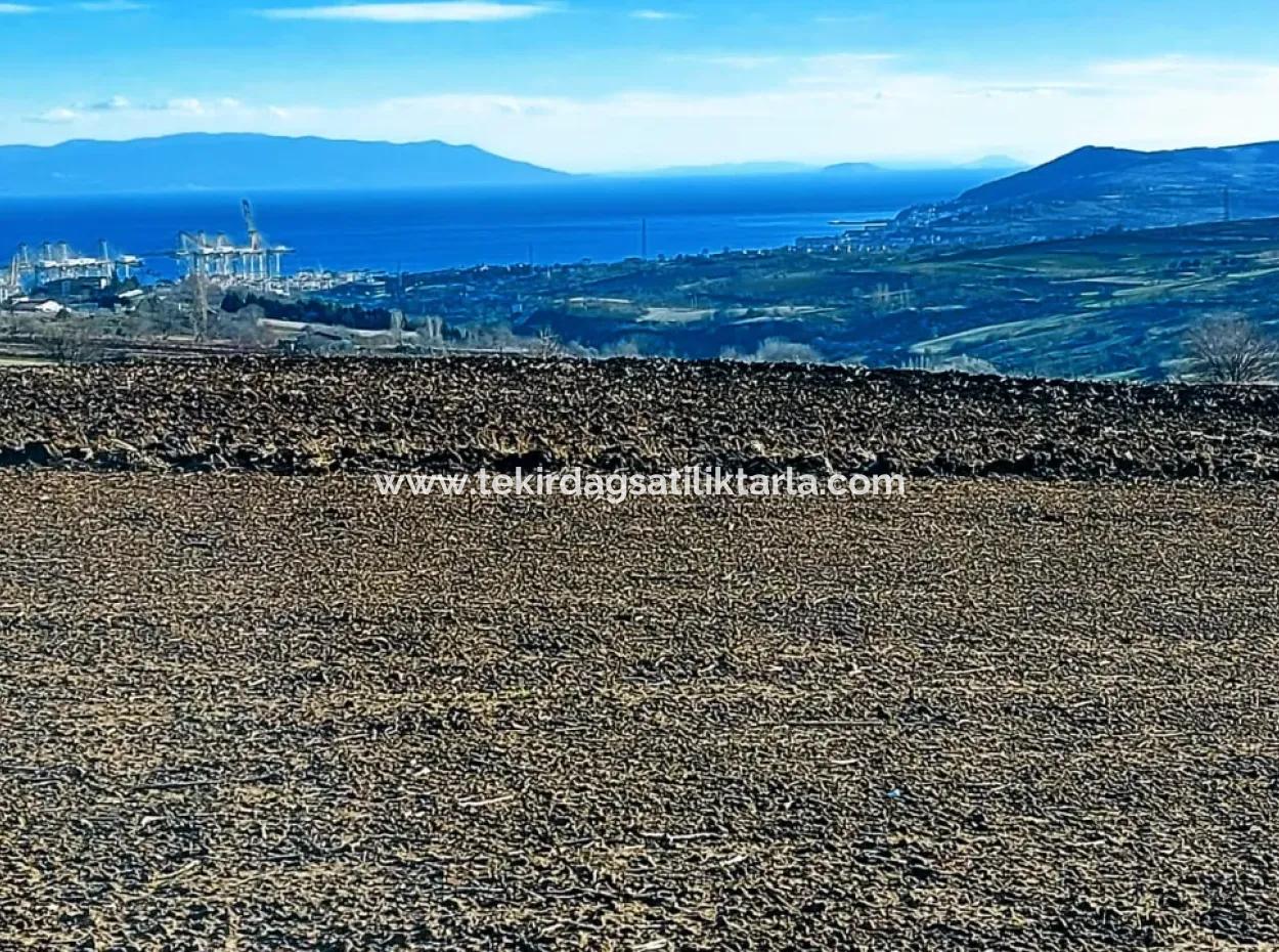 Acil Satılık Fabrikalar Bölgesinde 5.400 M2 Yüksek Kazanç Garantisi Fırsat Yer