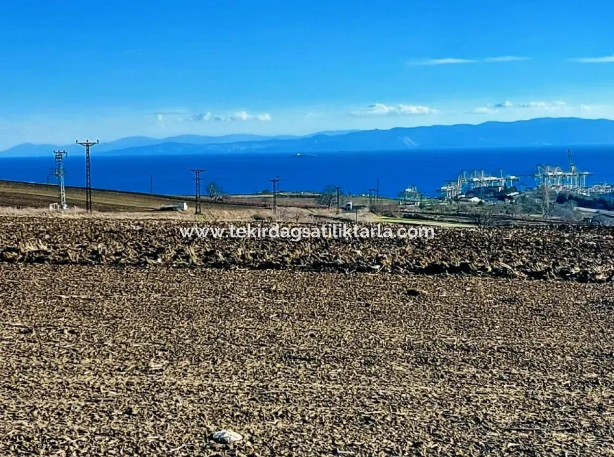 Acil Satılık Fabrikalar Bölgesinde 5.400 M2 Yüksek Kazanç Garantisi Fırsat Yer