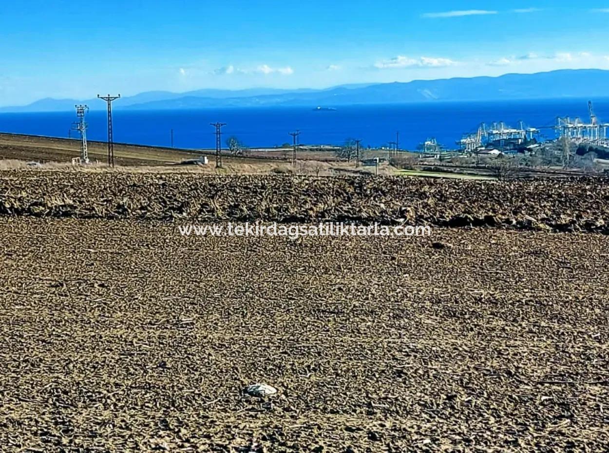 Acil Satılık Fabrikalar Bölgesinde 5.400 M2 Yüksek Kazanç Garantisi Fırsat Yer