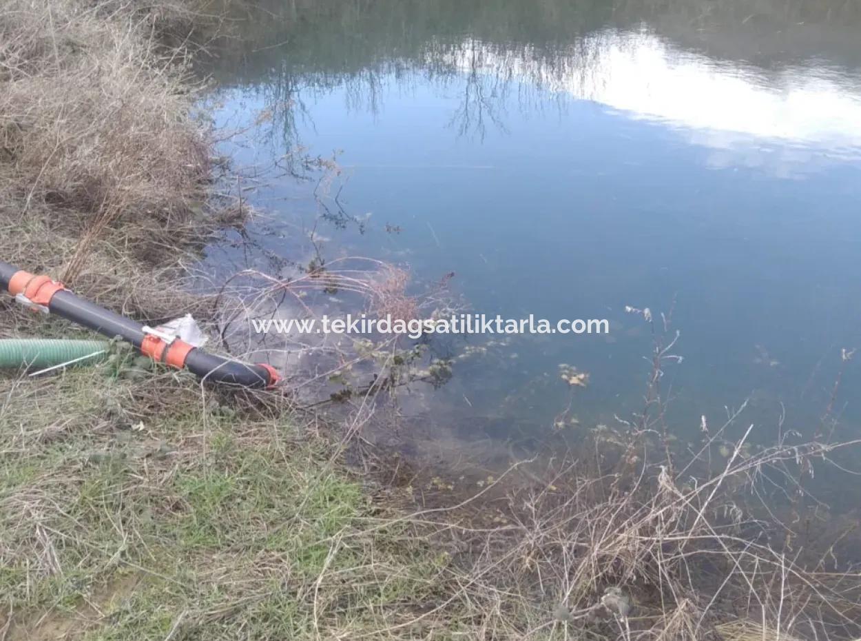 Acil Satılık 35 Dönüm Meyva Bahçesi İstersen Çiftlik Yeri De Kullanmaya Uygun Fırsat Yatırınlık Tarla