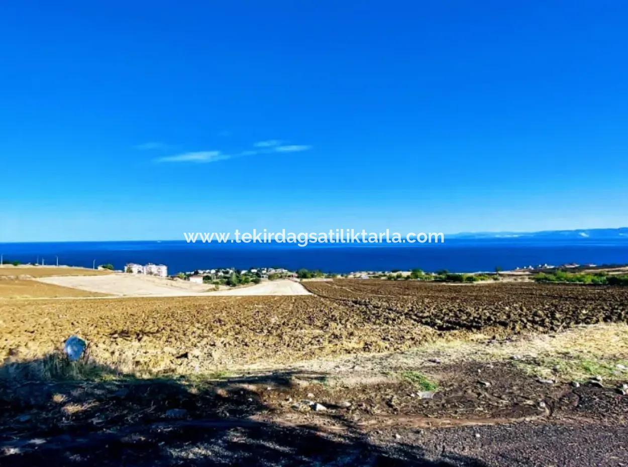 Yüksek Kazanç Garantisi 44 Dairelik Toplu Konut Alanı Yatırımını Yap Mütahitlere Ver Karını İkiye Katla