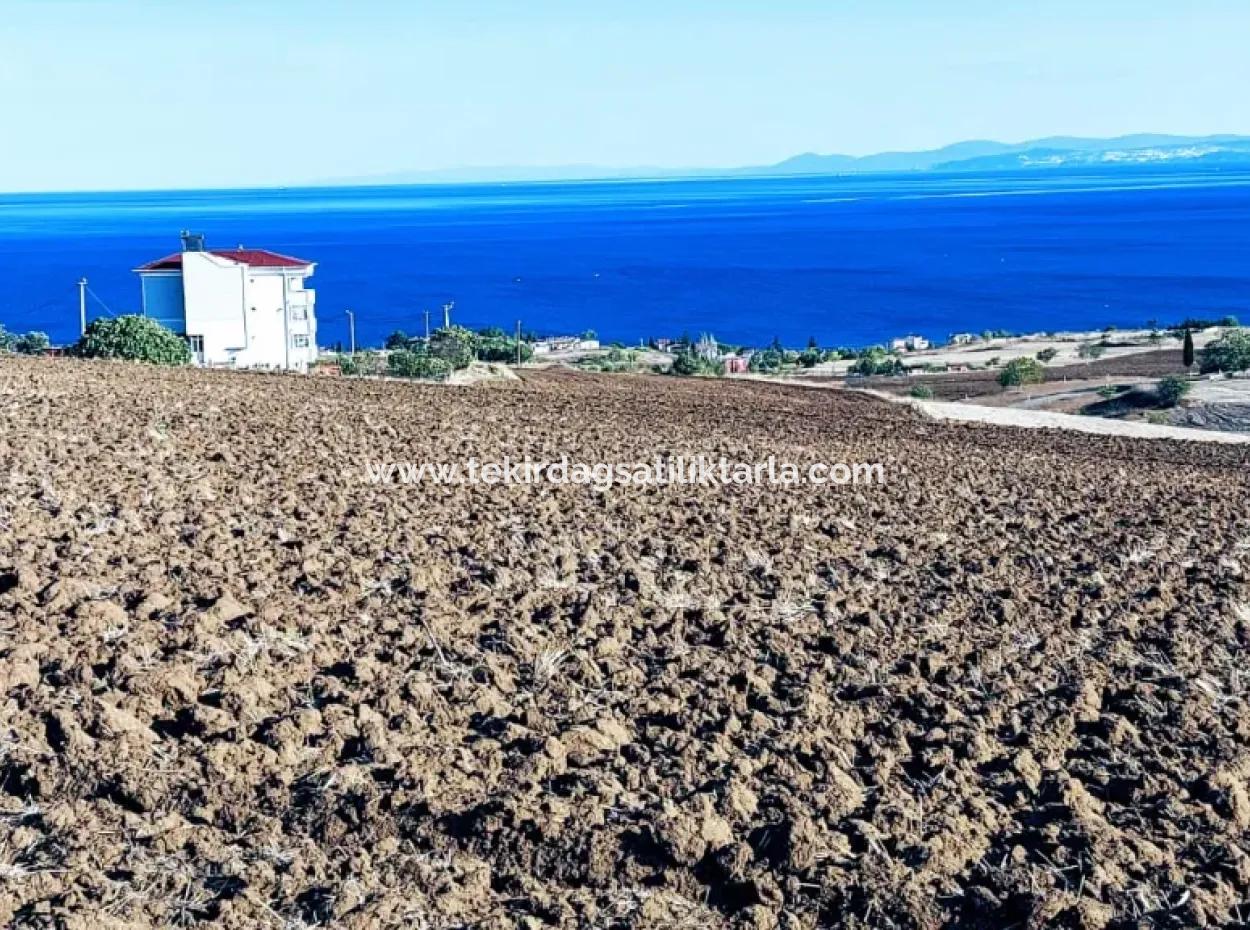 Yüksek Kazanç Garantisi 44 Dairelik Toplu Konut Alanı Yatırımını Yap Mütahitlere Ver Karını İkiye Katla