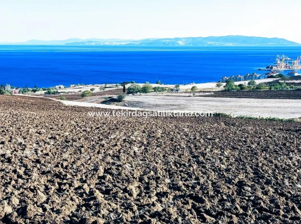 Yüksek Kazanç Garantisi 44 Dairelik Toplu Konut Alanı Yatırımını Yap Mütahitlere Ver Karını İkiye Katla