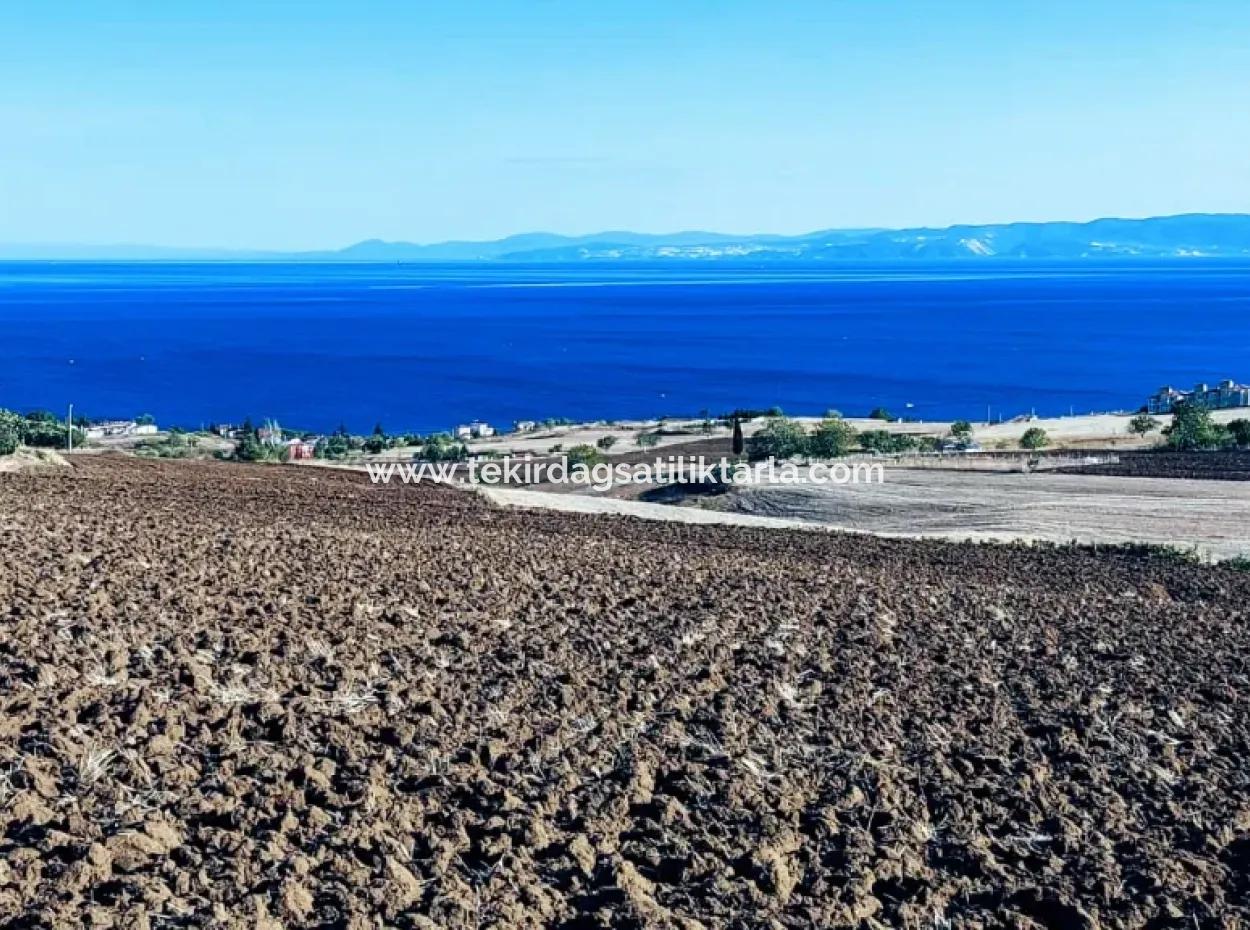 Yüksek Kazanç Garantisi 44 Dairelik Toplu Konut Alanı Yatırımını Yap Mütahitlere Ver Karını İkiye Katla