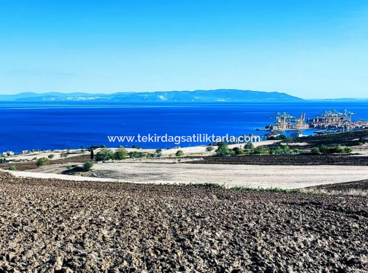 Yüksek Kazanç Garantisi 44 Dairelik Toplu Konut Alanı Yatırımını Yap Mütahitlere Ver Karını İkiye Katla