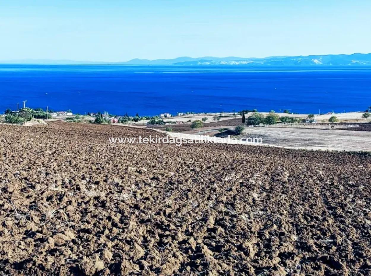Yüksek Kazanç Garantisi 44 Dairelik Toplu Konut Alanı Yatırımını Yap Mütahitlere Ver Karını İkiye Katla