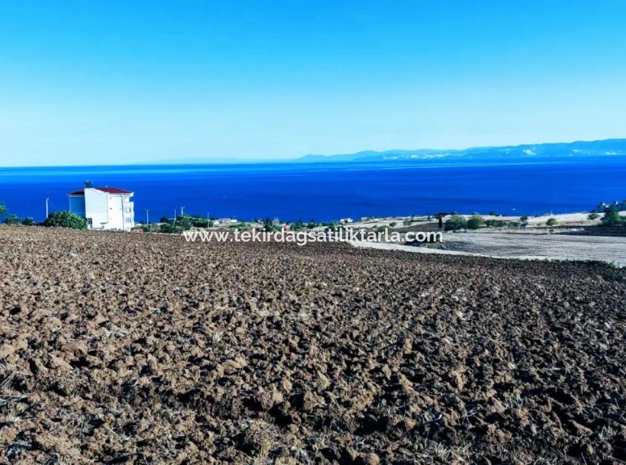 Yüksek Kazanç Garantisi 44 Dairelik Toplu Konut Alanı Yatırımını Yap Mütahitlere Ver Karını İkiye Katla