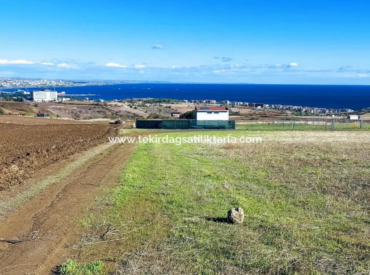 Acil Satılık Lüxs Villa Projesi Uygula Yüksek Kaznç Sağla Yerin Konumu Muhteşem Tamamen Full Deniz Ve Doğa Manzaralı