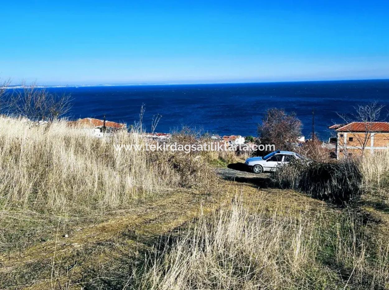 Full Deniz Manzarasıyla 3 Adet Lüxs Villa Yapma İmkanı Olan Kaçırılmayacak Fırsat Arsa
