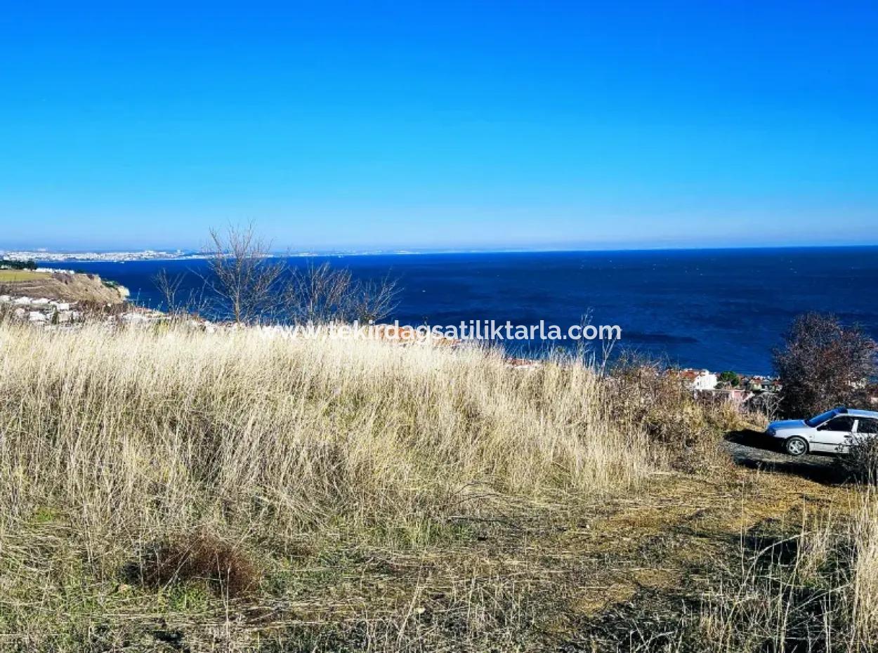 Full Deniz Manzarasıyla 3 Adet Lüxs Villa Yapma İmkanı Olan Kaçırılmayacak Fırsat Arsa