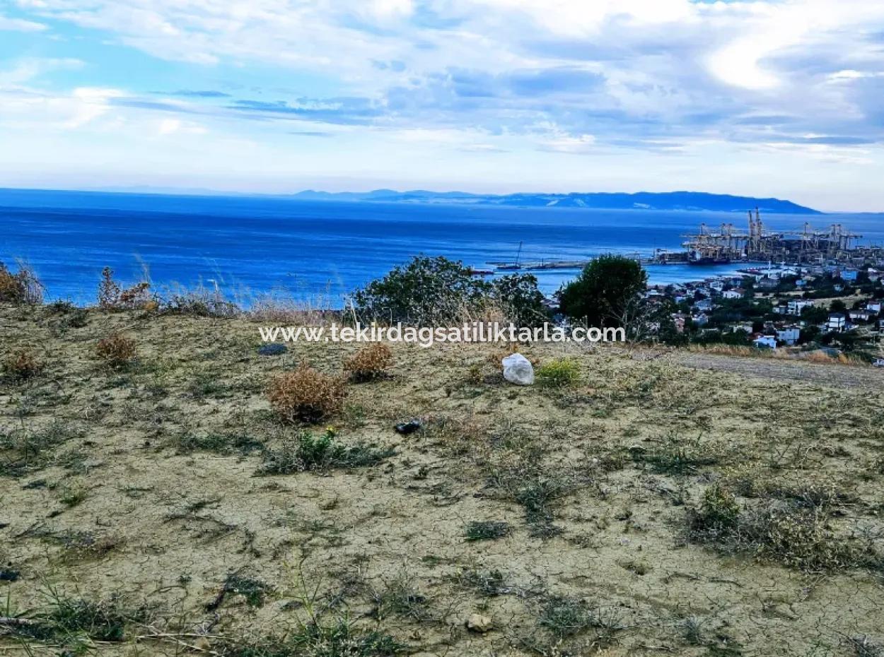 Tekirdağ Barbarosta Acil Satılık Full Deniz Manzaralı Kooparetif Site Yapımına Uygun 3.300 M2 Net Arsa