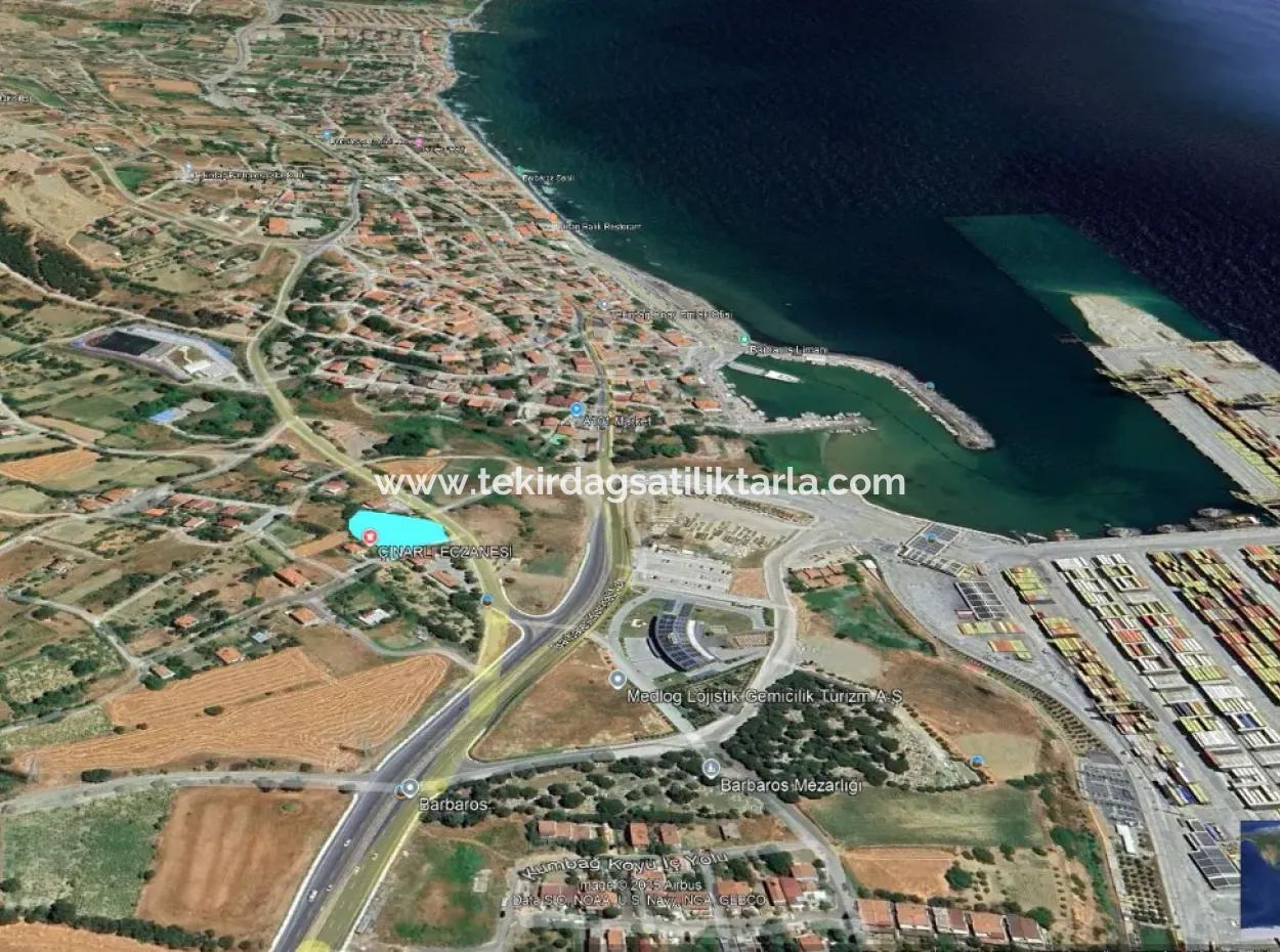 Asyaport Limanına Yakınlığı Ve Ticari Arsa Olşuyla Bu Fırsatı Kaçırmayın