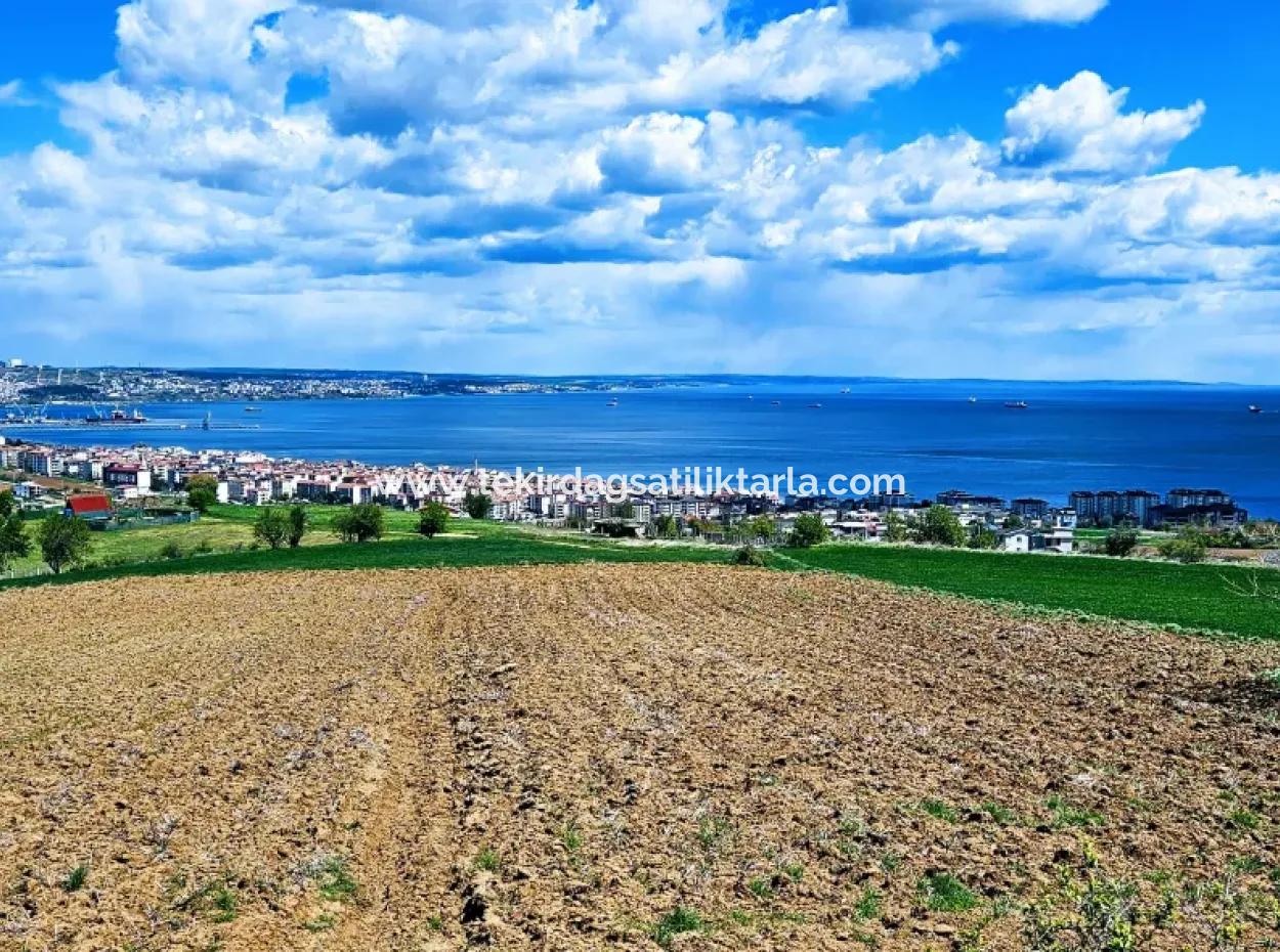 Acil Satılık Tekirdağ Barbarosta 40 Dairelik Full Deniz Manzaralı Konut İmarlı Arazi
