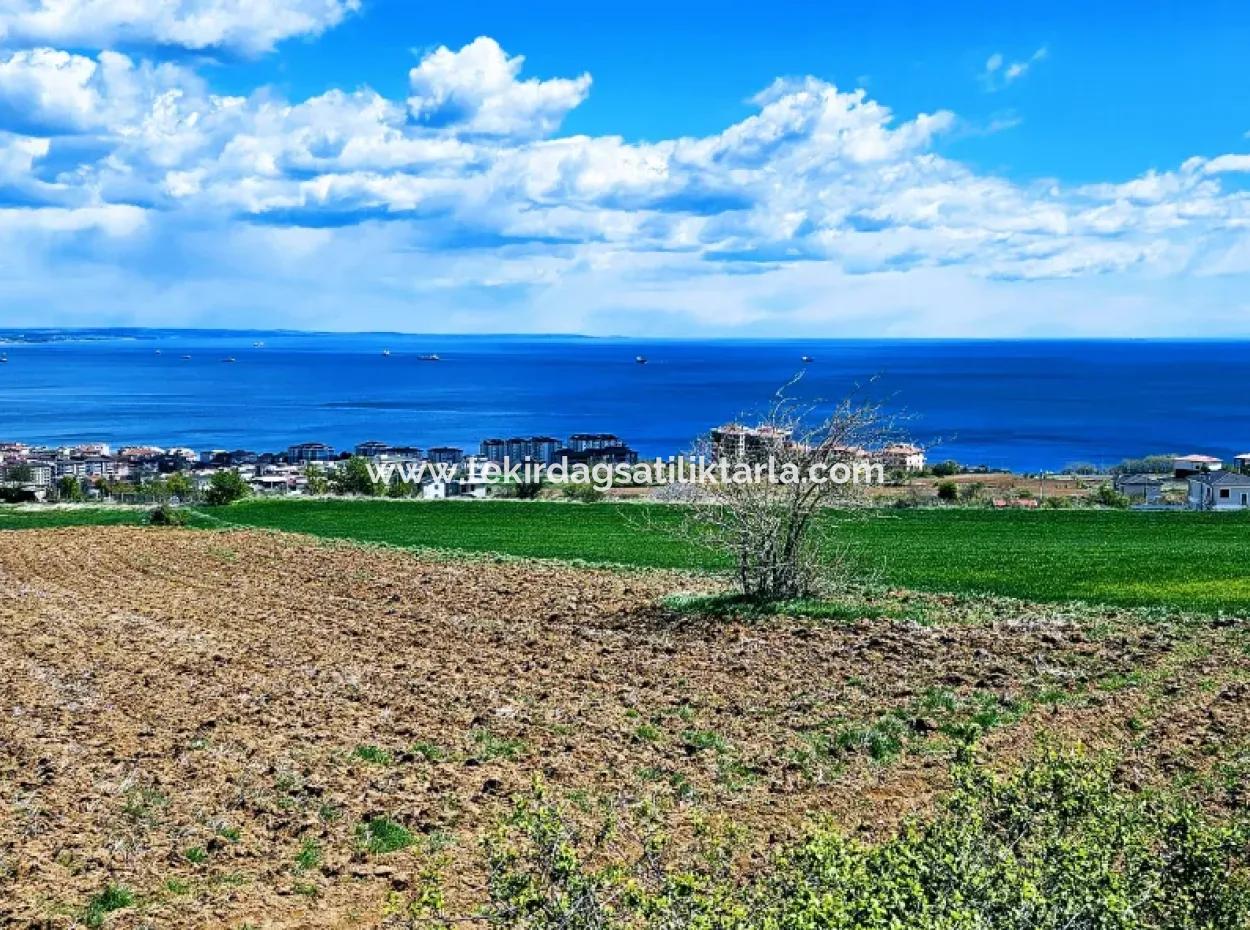 Harika Deniz Ve Doğa Manzaralı İster Kooparetif. İster Lüxs Villa Yap. 40 Dairelik 6.400 Konut İmarlı Arazi