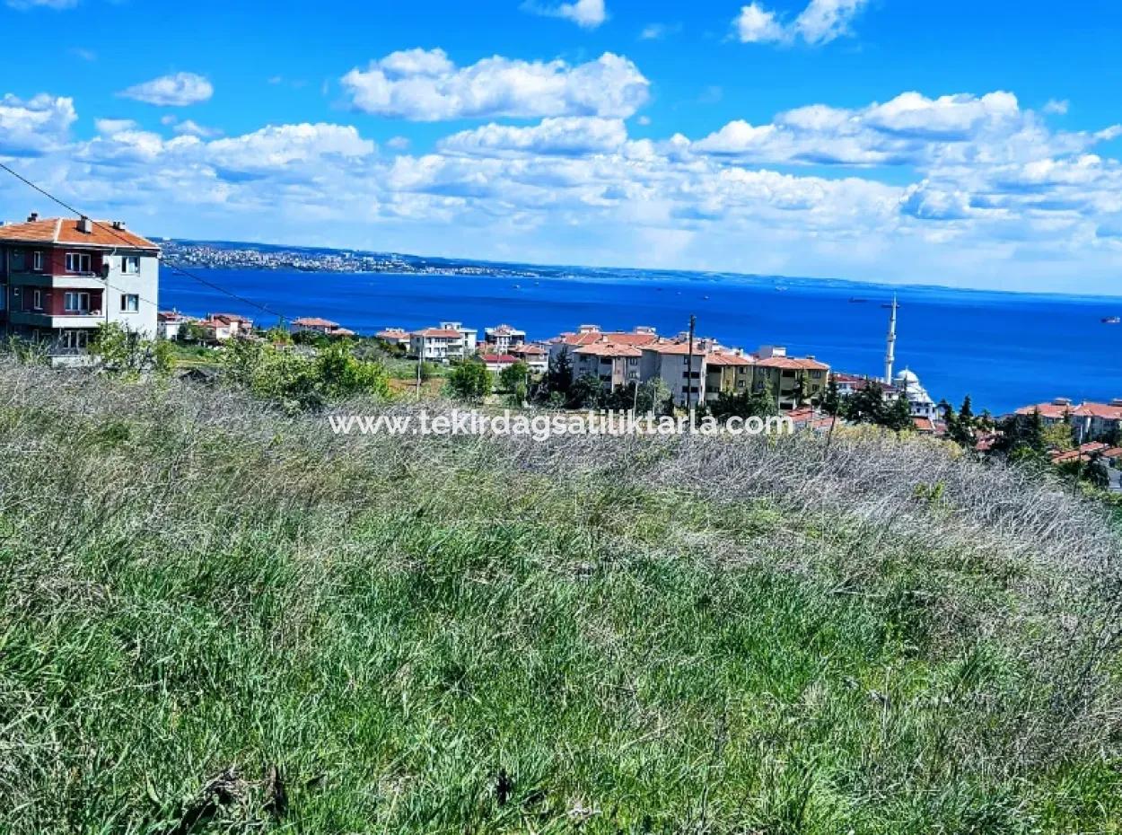 Harika Deniz Ve Doğa Manzaralı İster Kooparetif. İster Lüxs Villa Yap. 40 Dairelik 6.400 Konut İmarlı Arazi