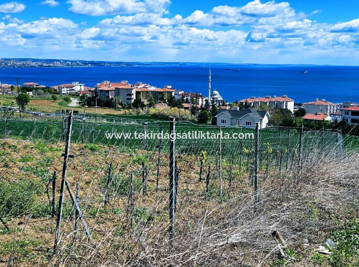 Harika Deniz Ve Doğa Manzaralı İster Kooparetif. İster Lüxs Villa Yap. 40 Dairelik 6.400 Konut İmarlı Arazi