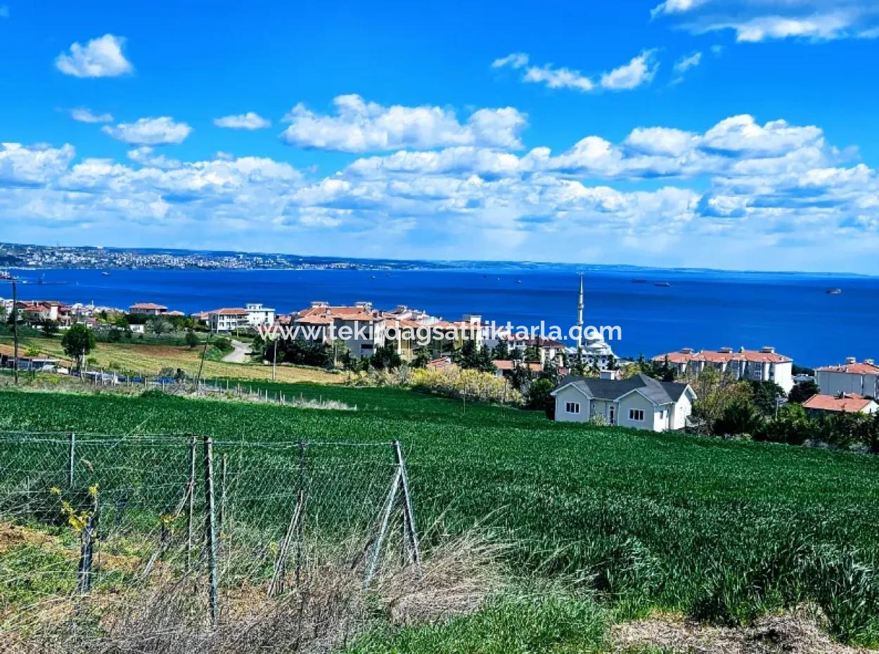 Harika Deniz Ve Doğa Manzaralı İster Kooparetif. İster Lüxs Villa Yap. 40 Dairelik 6.400 Konut İmarlı Arazi