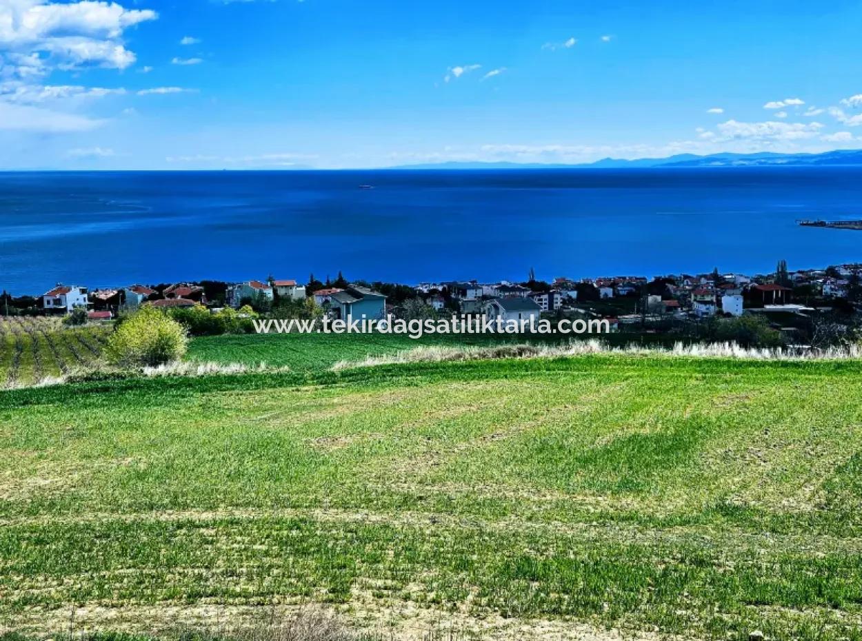 Full Deniz Ve Doğa Manzara Alt Yapı Hazır Lüxs 45 Dairelik Kooparetif Ve Site Yapmaya Uygun Kupon Arazi