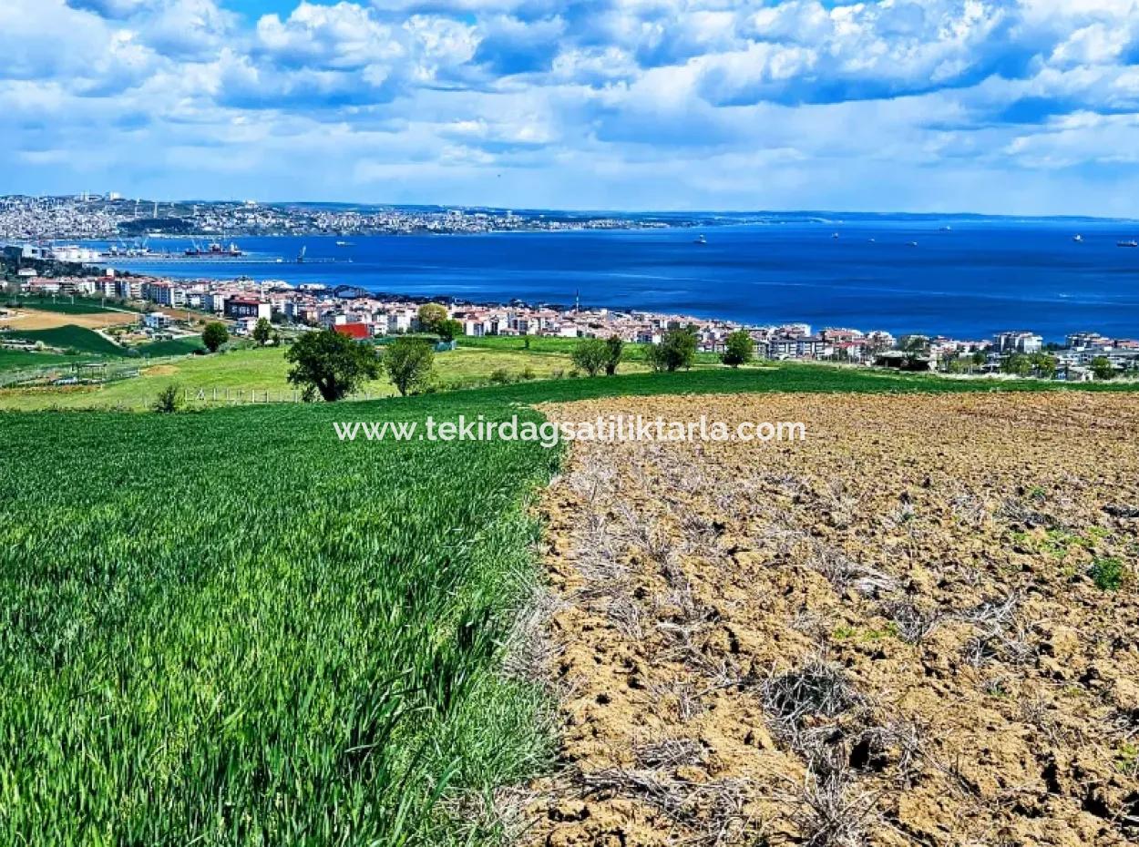 Bu Fırsat Kaçmaz** Full Deniz Ve Doğa Manzaralı** Lüxs Proje Uygula İster Konut Yap İster Villa Yap** Yüksek Kazanç Garantisi