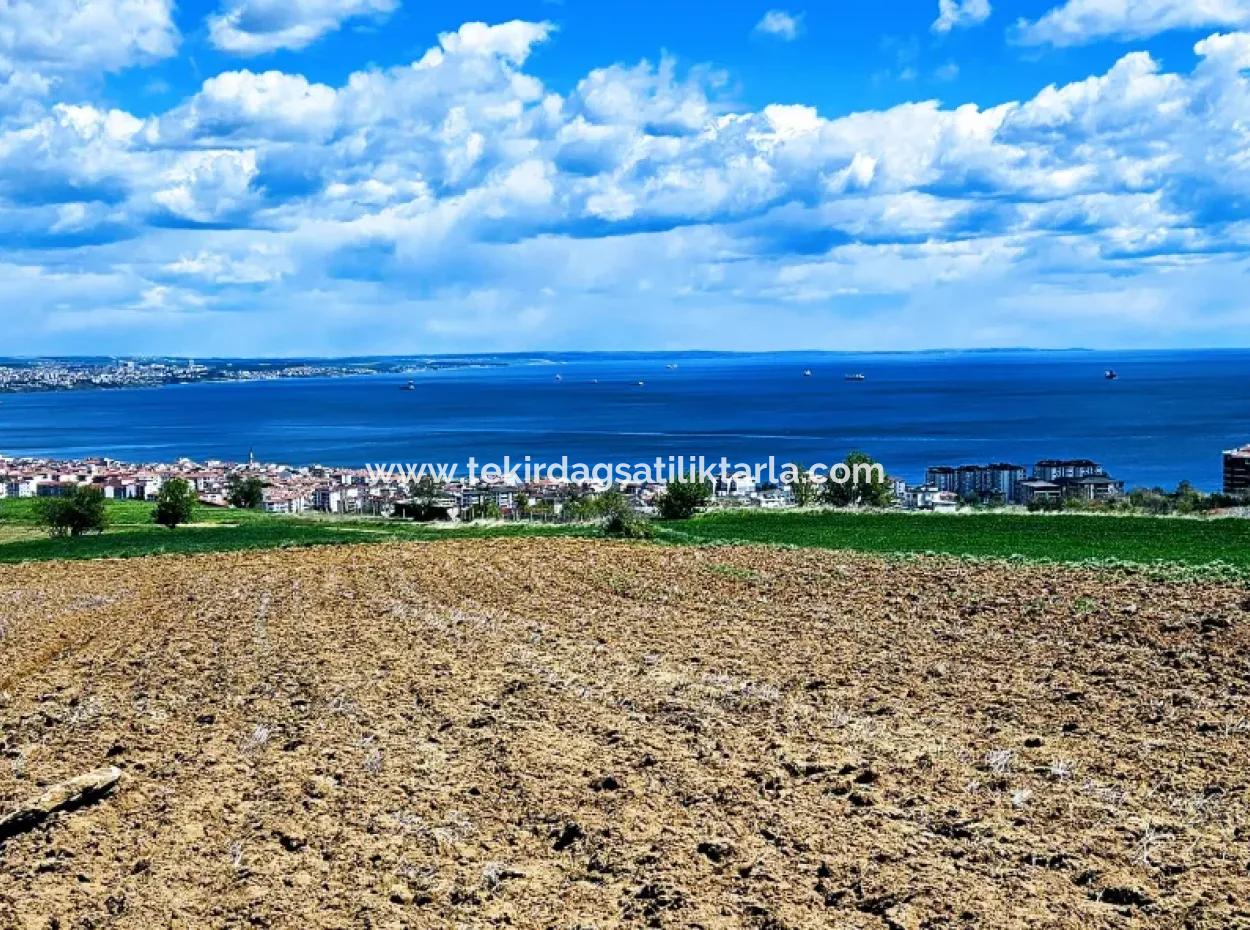 Bu Fırsat Kaçmaz** Full Deniz Ve Doğa Manzaralı** Lüxs Proje Uygula İster Konut Yap İster Villa Yap** Yüksek Kazanç Garantisi
