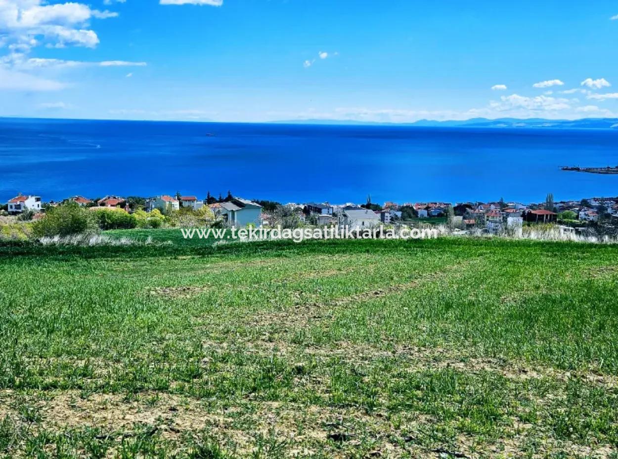 Full Deniz Ve Doğa Manzara Alt Yapı Hazır Lüxs 45 Dairelik Kooparetif Ve Site Yapmaya Uygun Kupon Arazi