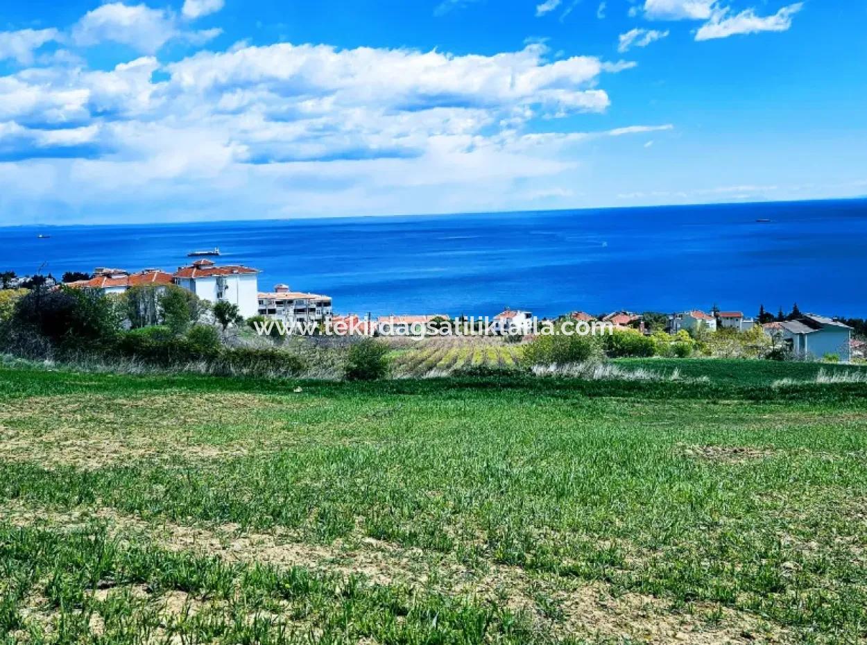 Full Deniz Ve Doğa Manzara Alt Yapı Hazır Lüxs 45 Dairelik Kooparetif Ve Site Yapmaya Uygun Kupon Arazi