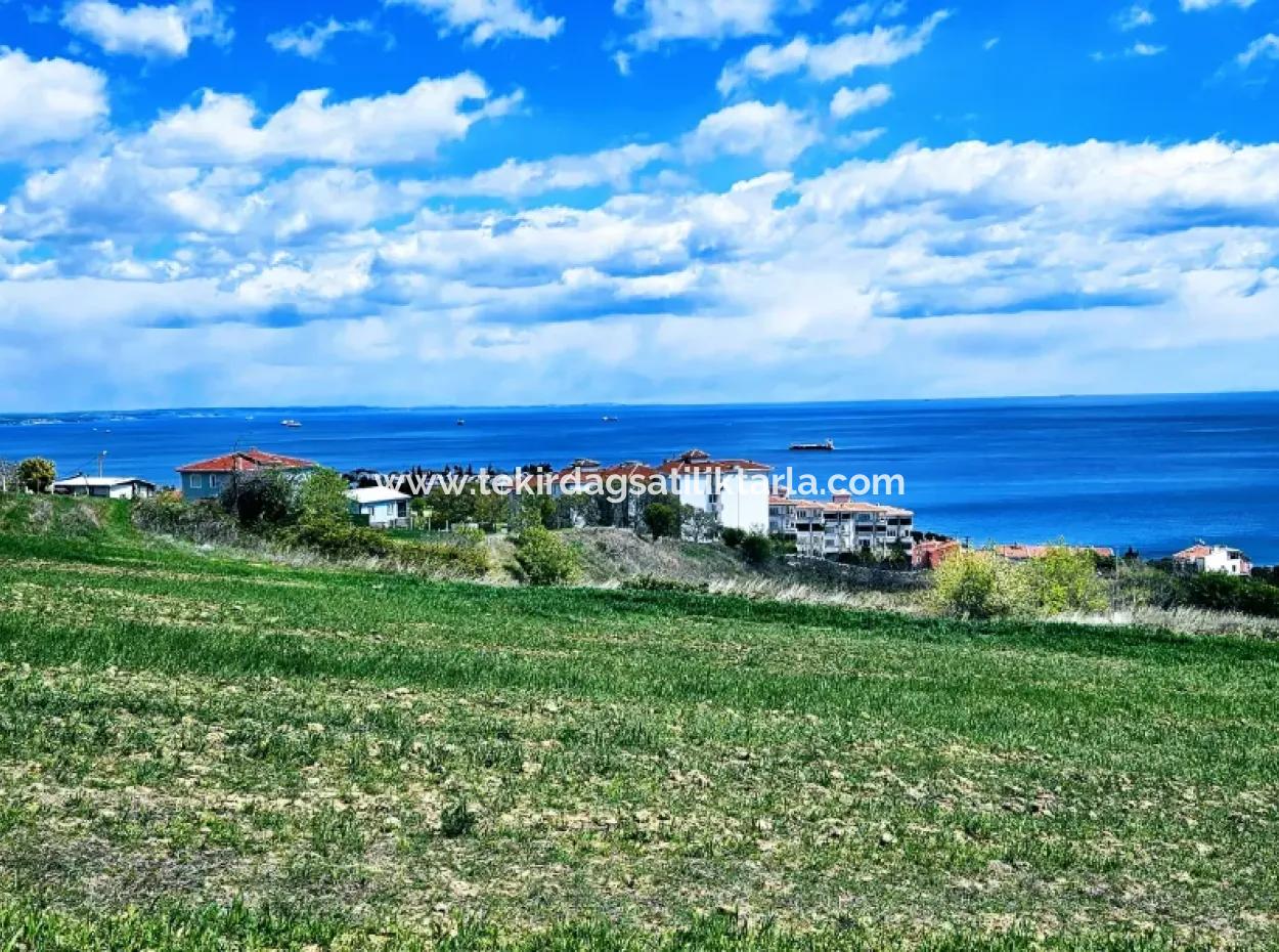Full Deniz Ve Doğa Manzara Alt Yapı Hazır Lüxs 45 Dairelik Kooparetif Ve Site Yapmaya Uygun Kupon Arazi